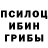 Псилоцибиновые грибы Magic Shrooms fnaflove