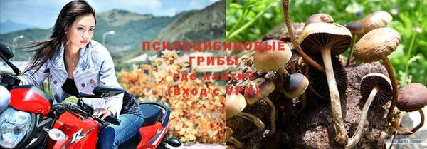 спайс Беломорск