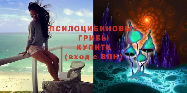 круглые Белокуриха